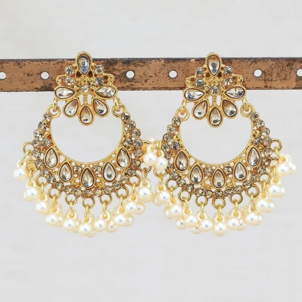 Brand new earrings
